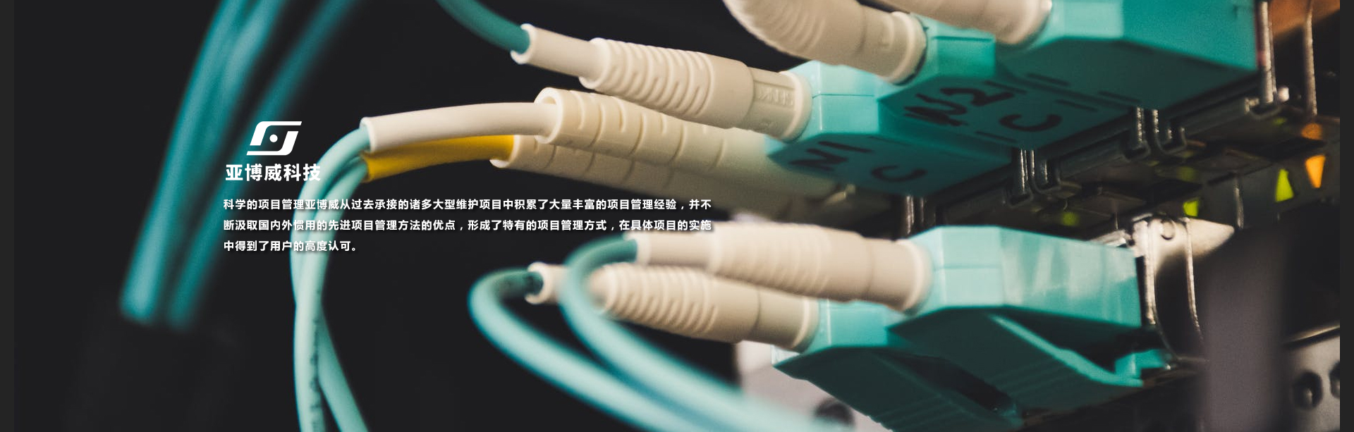 麻豆网站在线免费观看